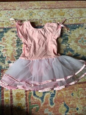 Ruffle Butts Pink Tulle Ballet Dress with Satin Trim